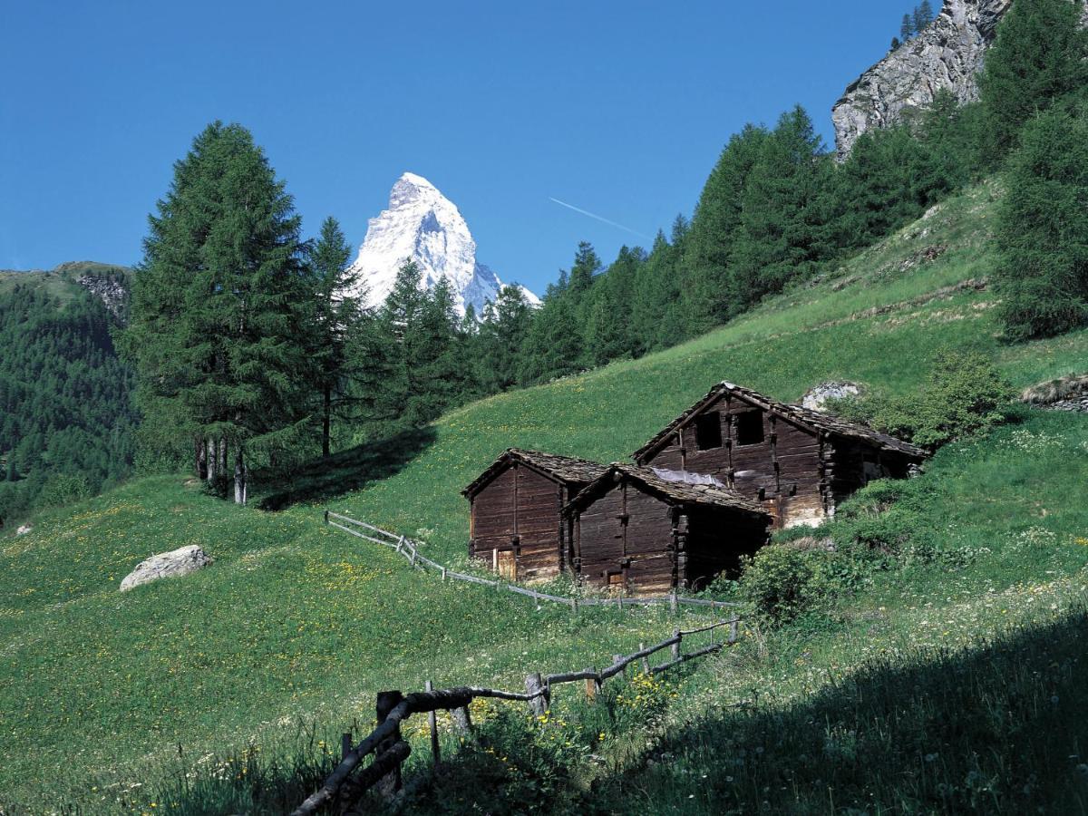 Apartment Pasadena By Interhome Zermatt Extérieur photo